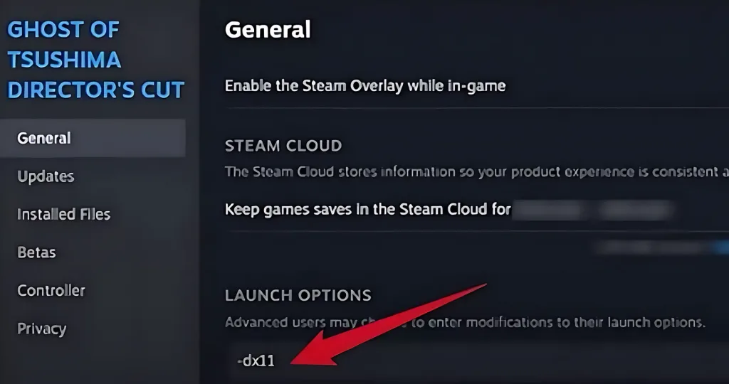 Ghost of Tsushima Launch options