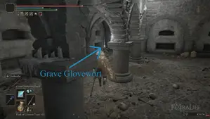 Grave Glovewort