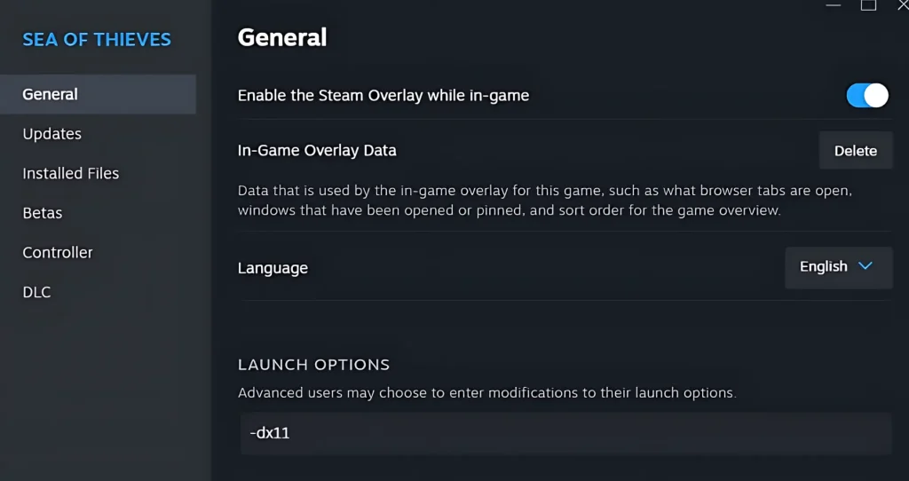 Modify Launch Options