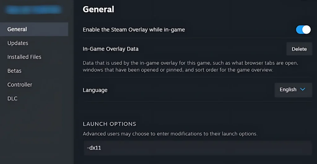 Set Launch Options